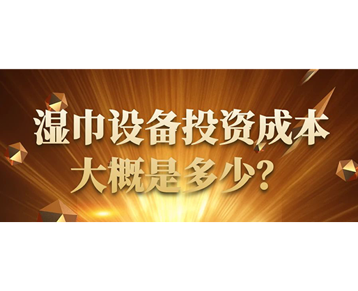 濕巾設(shè)備投資成本大概是多少？