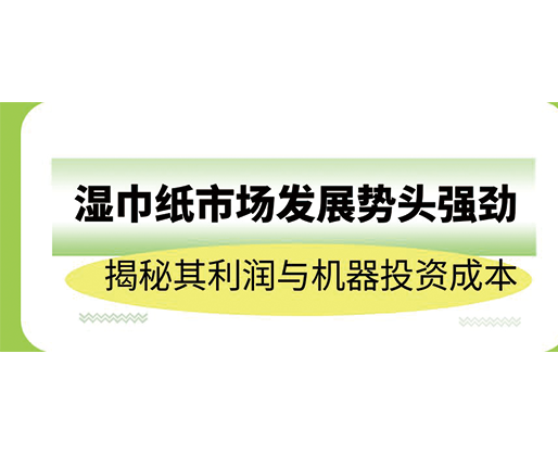 濕巾紙市場發(fā)展勢頭強勁，揭秘其利潤與機器投資成本