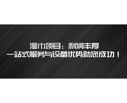 濕巾項(xiàng)目：利潤(rùn)豐厚，一站式服務(wù)與設(shè)備優(yōu)勢(shì)助您成功！