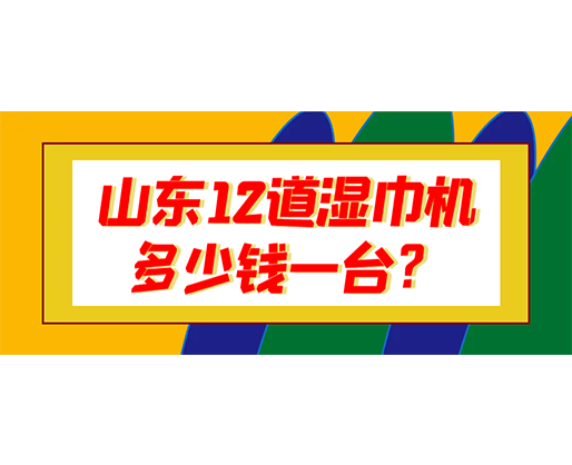 山東12道濕巾機多少錢一臺？