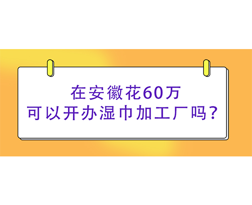 在安徽花60萬(wàn)可以開(kāi)辦濕巾加工廠嗎？