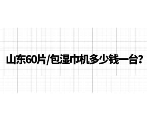 山東60片/包濕巾機(jī)多少錢一臺(tái)？